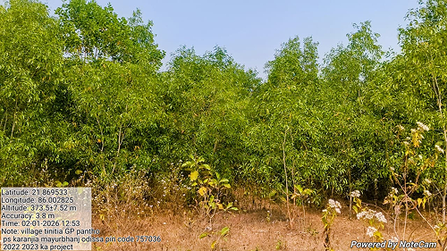 Impact Project Image